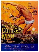 The Amazing Colossal Man